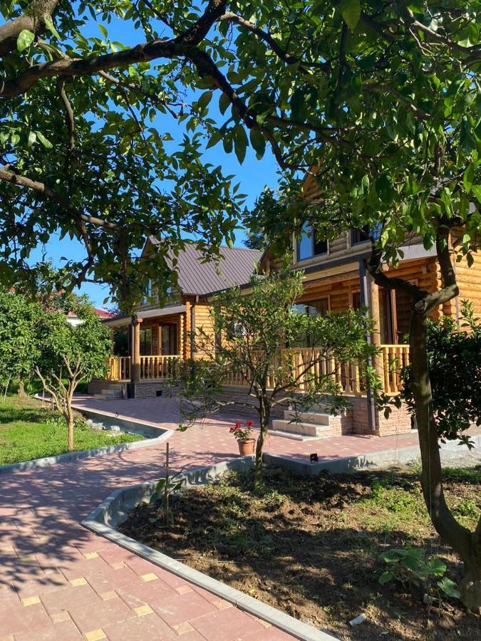 Guest House On Angisa 바투미 외부 사진