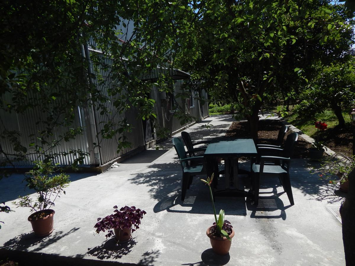 Guest House On Angisa 바투미 외부 사진